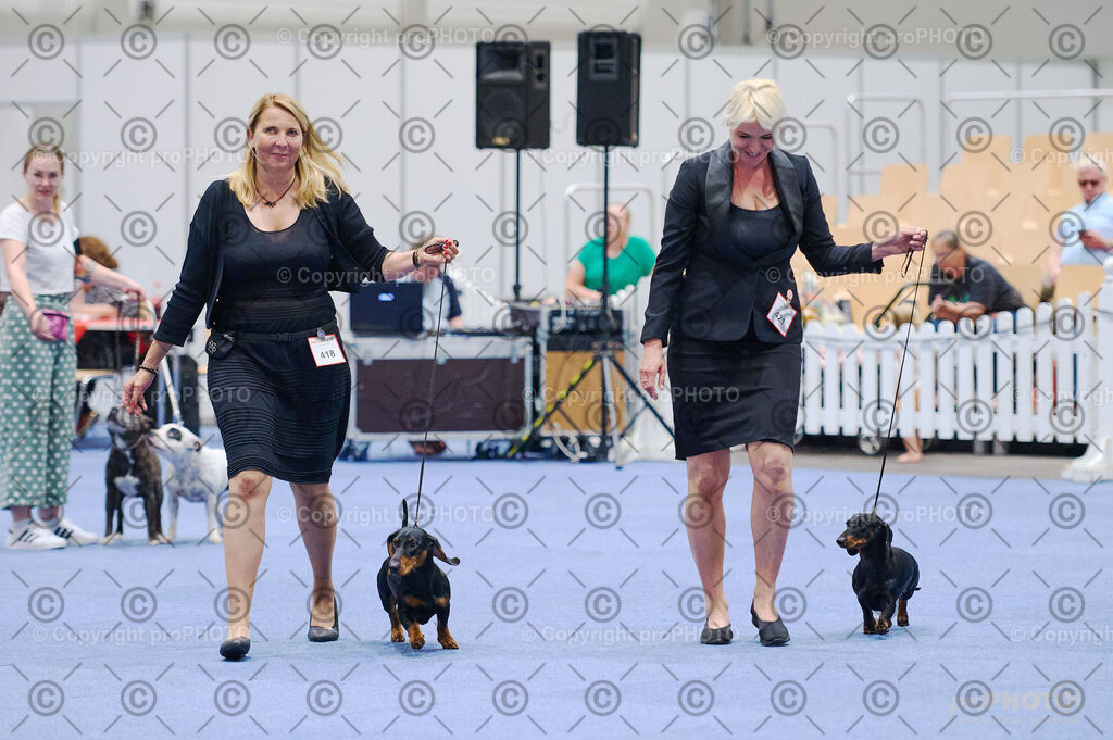 202406_ÖKV-IHA-Tulln24_DSC_2805 | proPHOTO - Realisiert mit Pictrs.com