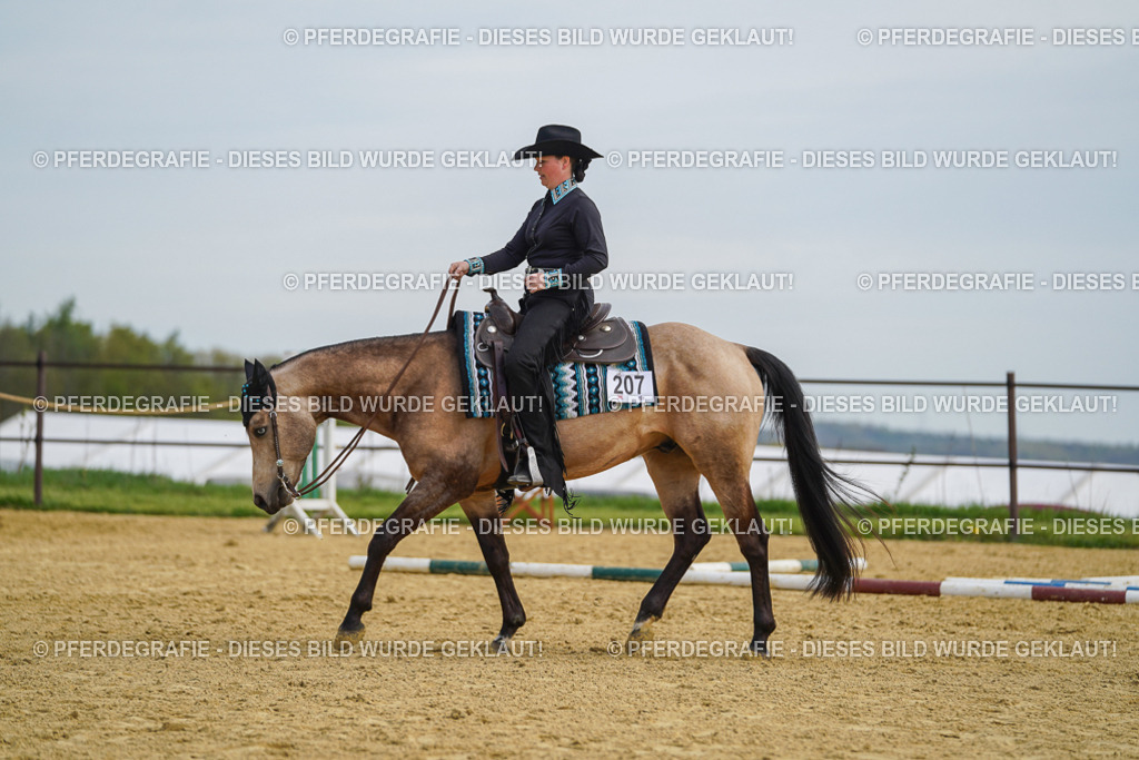 DSC03879 | Pferdegrafie