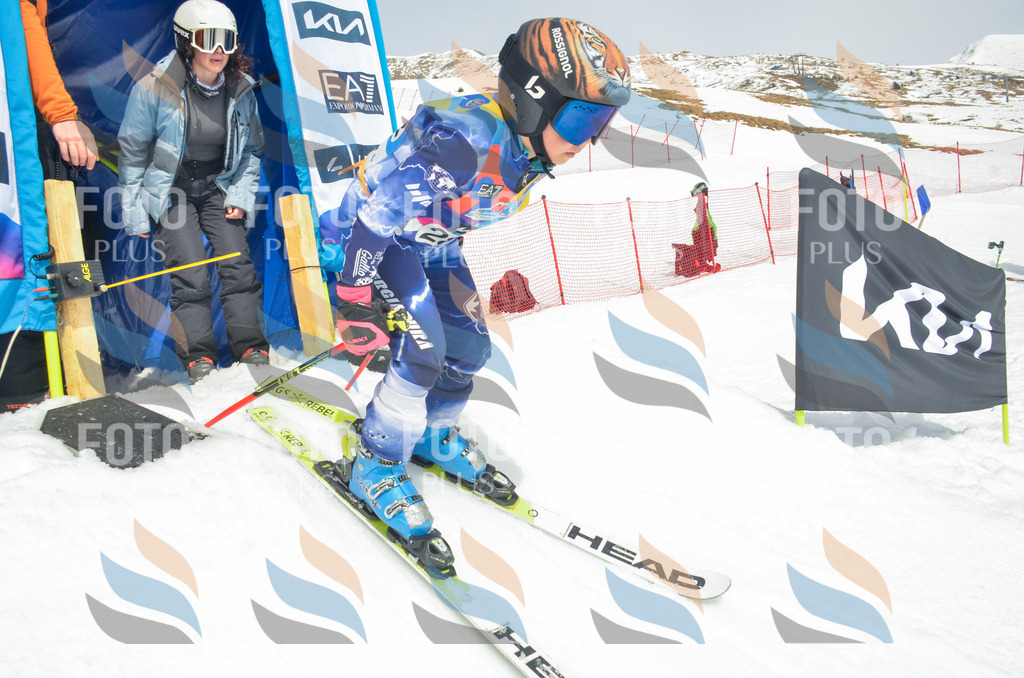 _ELE7968 | holidayphoto