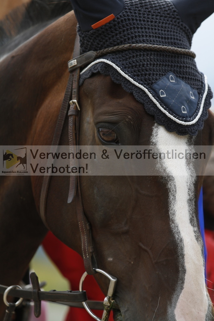 _MG_8264 | equestrian-live-com