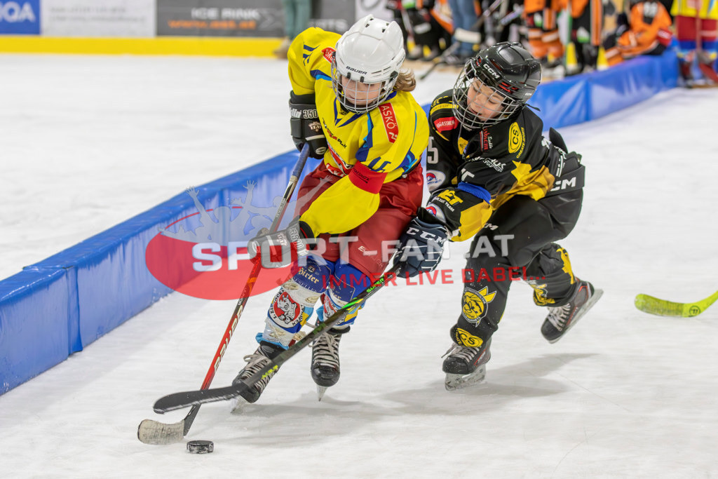 Eishockey | Eishockey, KEHV U10 Abschlussturnier am 17.03.2024 in Ferlach (HTC Eissporthalle), Austria, (Photo by Ernst Krawagner sport-fan.at) - Realisiert mit Pictrs.com