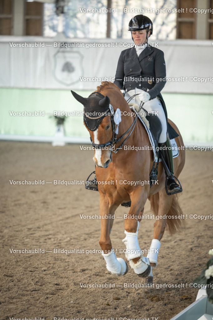 _D5A8166 | Emotionale Pferde- & People-Fotografie rund um Heidelberg, Leimen & Umgebung. Natürliche Fotos von Pferd, Mensch & Familie. Jetzt Termin sichern!