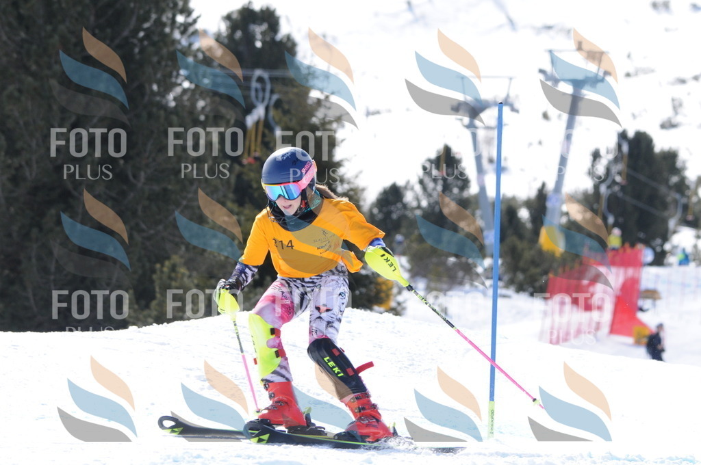 C9195 | holidayphoto