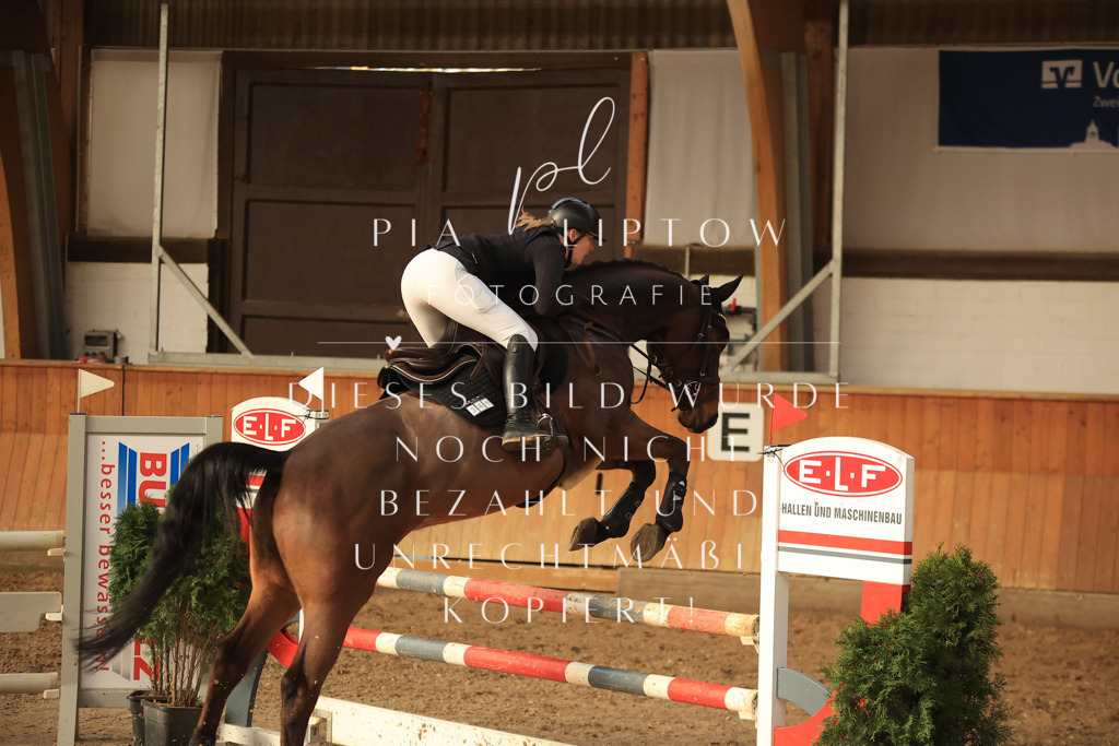 IMGT6443 | pl-fotografie