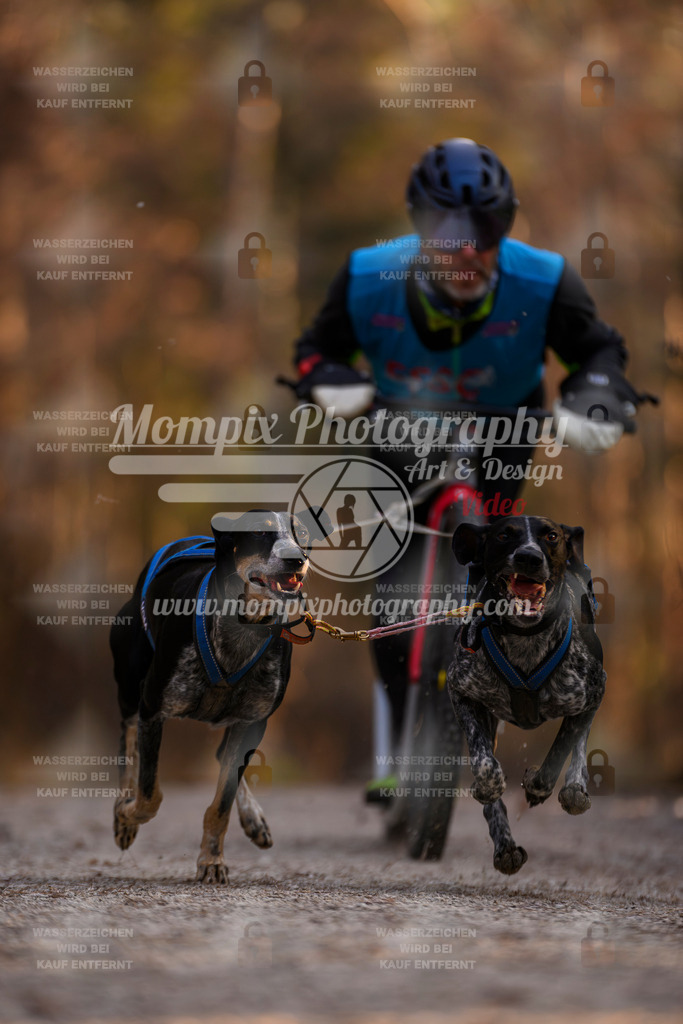 MompixPhotography_DM_AKDM_SO_2025_Scooter-16 | PayLife
