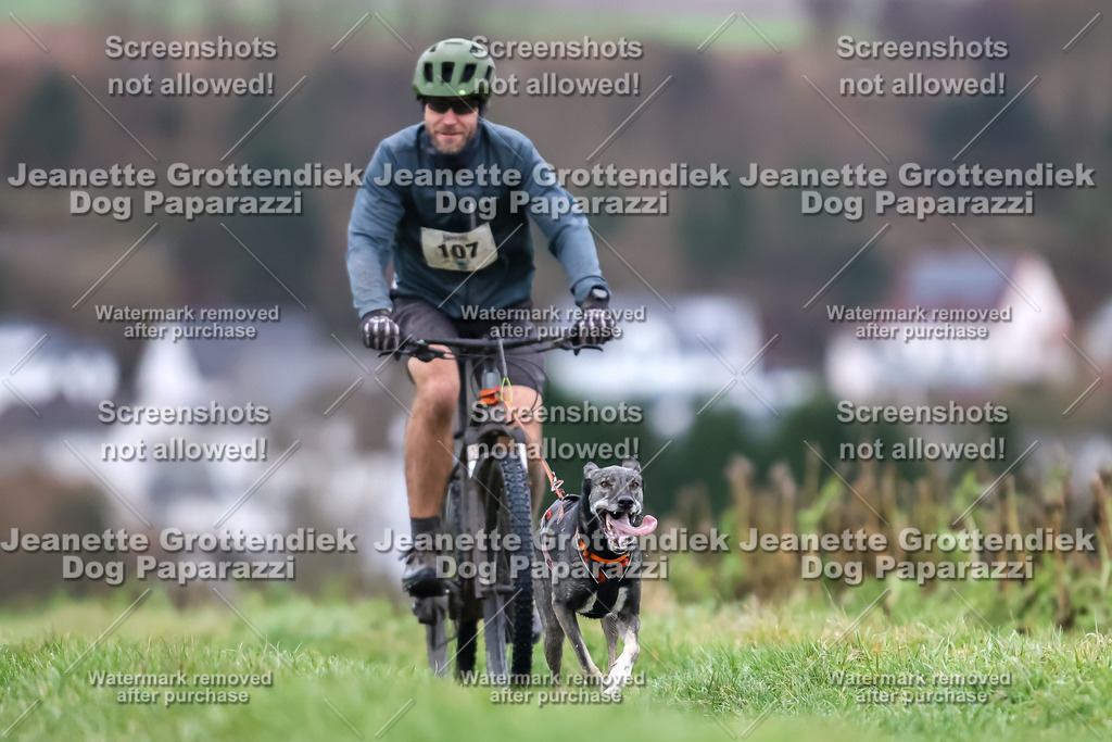 Dog Paparazzi - Herkules Race  2025-1 | Dog Paparazzi Jeanette Grottendiek Fotografie & Videografie - Realisiert mit Pictrs.com