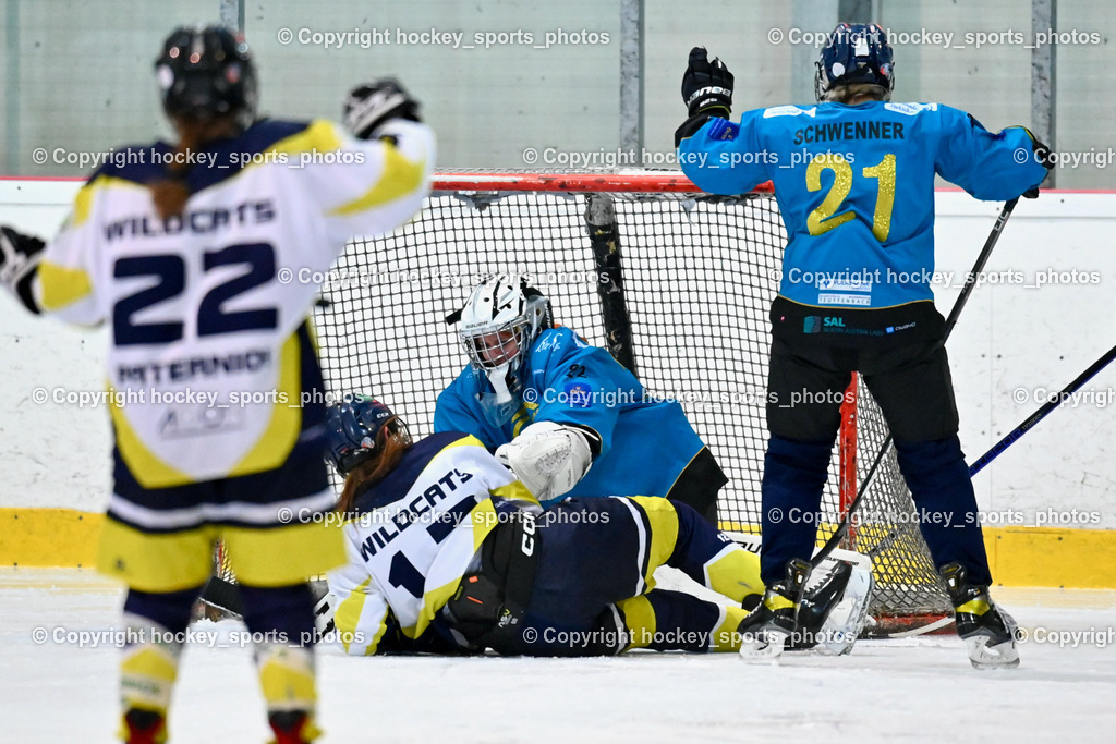 BST_6705 | hockey sports photos, Pressefotos, Sportfotos, hockey247, win 2day icehockeyleague, Handball Austria, Floorball Austria, ÖVV, Kärntner Eishockeyverband, KEHV, KFV, Kärntner Fussballverband, Österreichischer Volleyballverband, Alps Hockey League, ÖFB, 