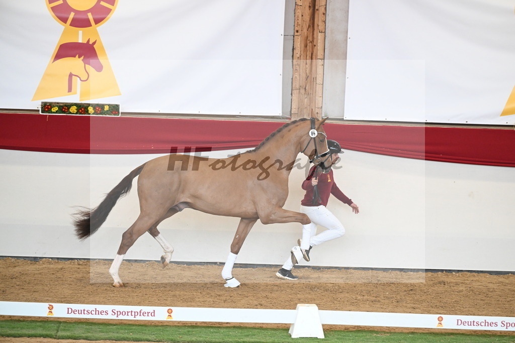 Kat.-Nr. 84 v. Vaderland_van den Oetelaar_2250808 | hf-fotografie - Realisiert mit Pictrs.com