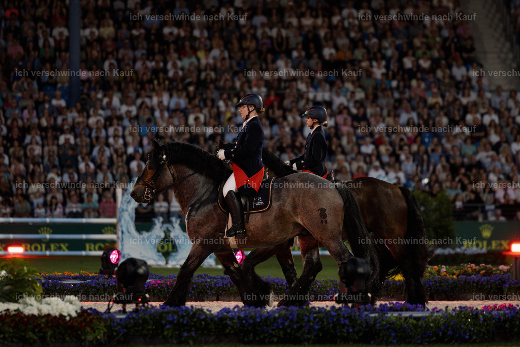TSCHIO26_PferdundSinfonie_StoibphotographyTSCHIO26_Pferd-Sinfonie_Stoibphotography_AM11493.CR3.jpg | working equitationturnier fotograf videograf stoibphotography marixx film working equitation deutschland reitsport turnierfotografie eventfotografie equestrian events