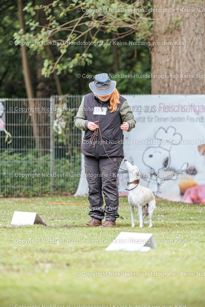 RO-Blumenthal-2026-Nickbest-Hundefotografie-0136 | Dein Hund! Dein Moment! Deine Erinnerungen! Hundefotografie in Bremen Blumenthal. Ich fange die besonderen Momente deines Vierbeiners ein – ob Indoor mit Blitzanlage oder in der freien Natur. Sicher dir dein Moment und dein Termin für eure Erinnerungen.