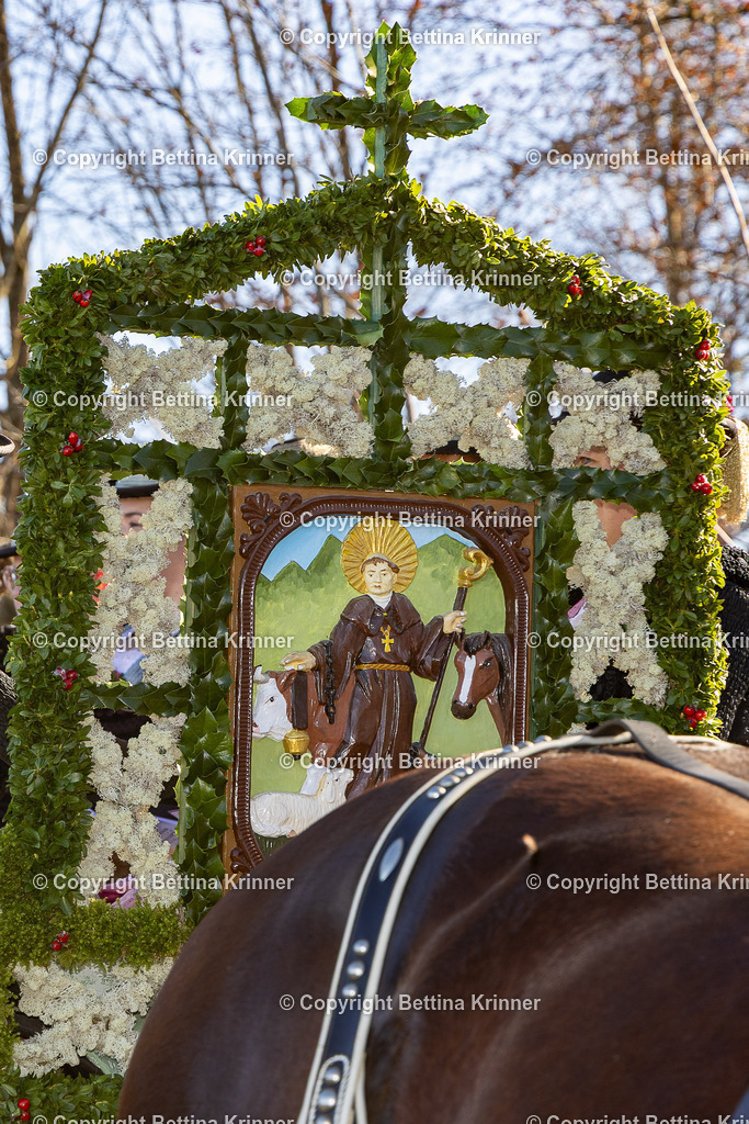 LBT25-1238 | foto-bettina-krinner - Realisiert mit Pictrs.com