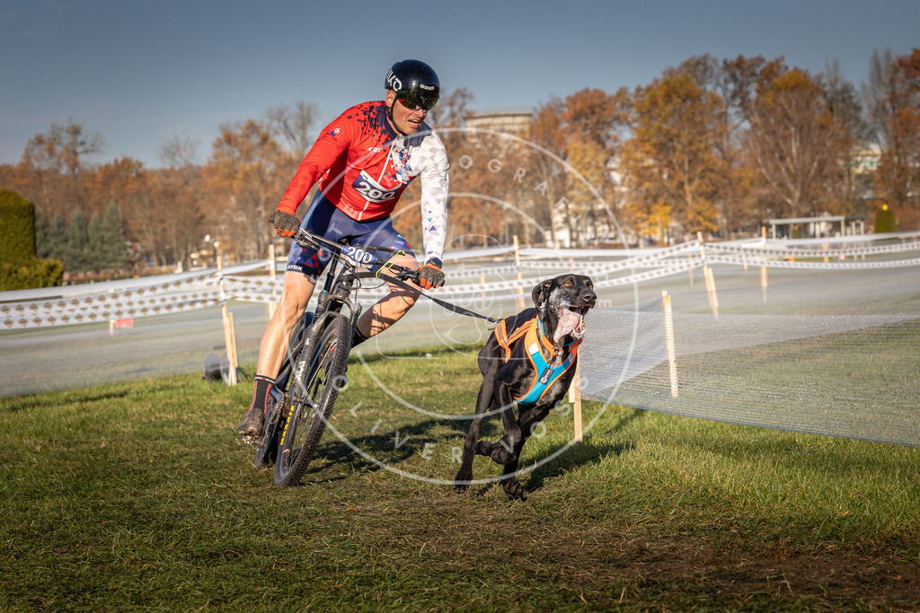 CaniXpix_0L8A4441 | Hundefotografie, Tierfotograf, Pfotenfotografie, Fotoshooting Hund, Hunde Portrait, Hundesport, Hundeportraits, Heideshooting, Hunde, Sportfotograf, Hundefotograf, Turnierhundsport, THS,  - Realisiert mit Pictrs.com