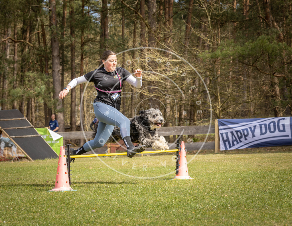 Pfotenfotografie_DV3A6360 | Hundefotografie, Tierfotograf, Pfotenfotografie, Fotoshooting Hund, Hunde Portrait, Hundesport, Hundeportraits, Heideshooting, Hunde, Sportfotograf, Hundefotograf, Turnierhundsport, THS,  - Realisiert mit Pictrs.com