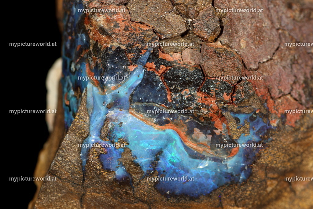 Opal-002 | Das Bilderarchiv über Tiere, Planzen und Landschaften. In der Bilddatenbank finden Sie ein große Auswahl an hochwertigen Bilder für Ihre Werbung - Realized with Pictrs.com