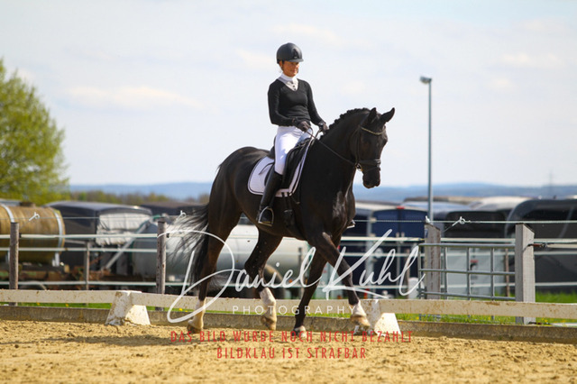 DKP43262 | Turniersportfotografie; Pferdefotografie; Dressurfotografie