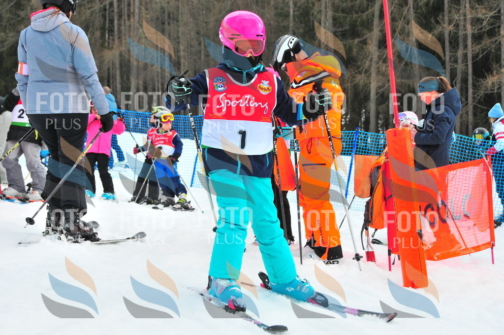 C1043 | holidayphoto