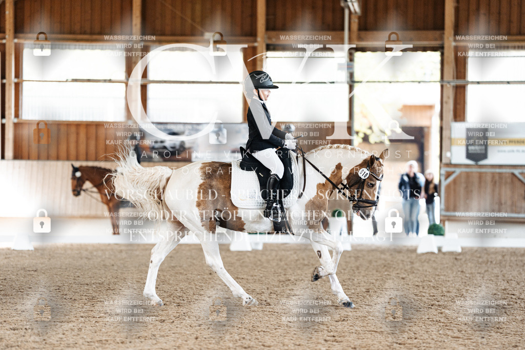 CK909663 | Turnierfotografie Pferdefotografie Trier Rheinland-Pfalz Pferdesport Reitsport Tierfotografie Sportfotografie Pferdevideo Pferdevideografie Equestrianvideography equestrianphotography  - Realized with Pictrs.com