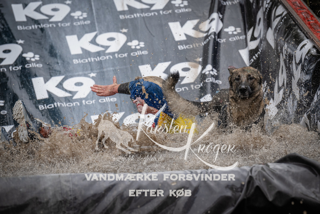 1114_ZZ92318 | kk-dogfotos