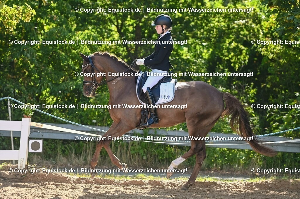 20230715_06_Dressurpferdeprfg. Kl.A_0440 | equistock