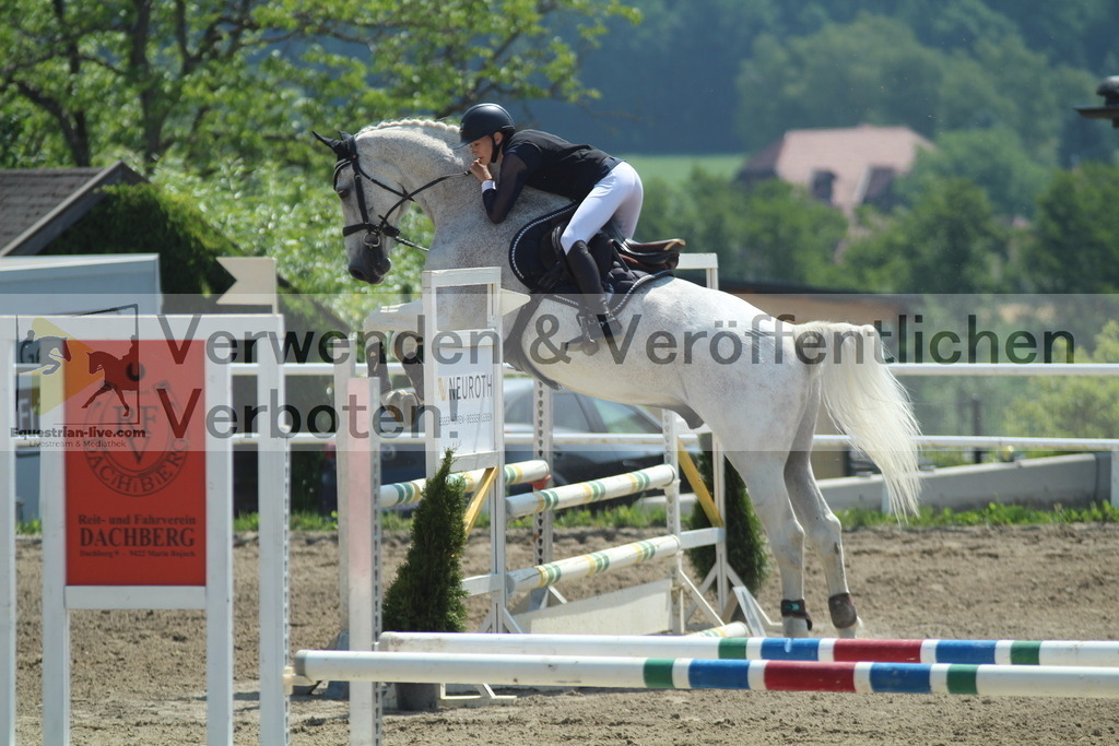 IMG_3537 | equestrian-live-com