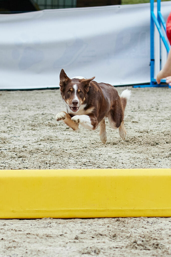 580A0209 | Peter Fridle Fotografie - Realisiert mit Pictrs.com