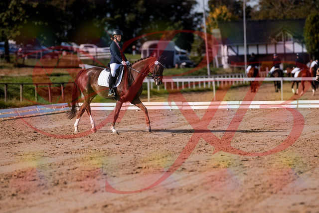 2026_10_03_Siefer-Hof_114857_Z81_88180960 | Professionelle Reitsport-, Turnier- und Eventfotografie von Robert Broda. Galerien mit ausgewählten und bearbeiteten Bildern direkt online ansehen und bestellen.