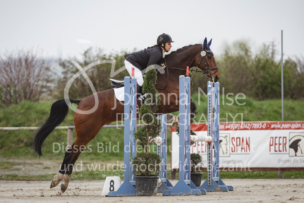 240330_Fruehlingsfest_Stil-A2-1-648 | Deine schönsten Turniermomente als professionelle Fotos! Entdecke hochwertige Pferdesport-Fotografie im Online-Shop. Jetzt Fotos finden & bestellen!