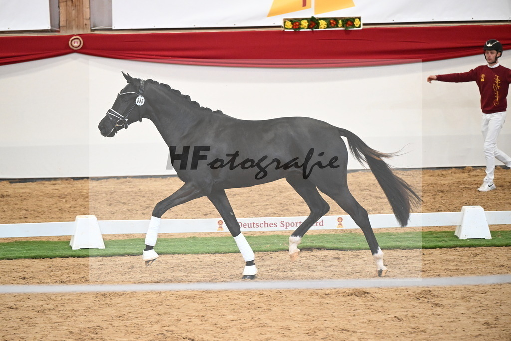 Kat.-Nr. 50 v. Donier_Meyer_2250193 | hf-fotografie - Realisiert mit Pictrs.com