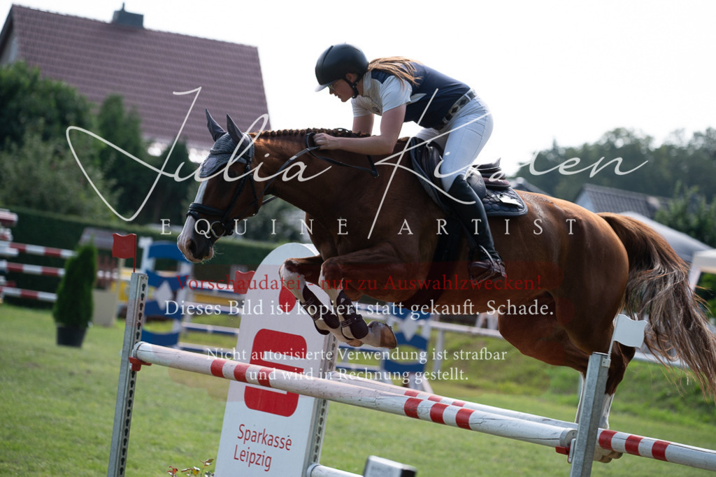 DSC_0947 | Pferde- und Turnierfotografie in Westsachsen. Pferdeportraits, Auftragszeichnungen und intuitive Kunst.
