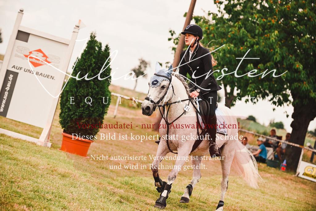 DSC_6976 | Pferde- und Turnierfotografie in Westsachsen. Pferdeportraits, Auftragszeichnungen und intuitive Kunst.