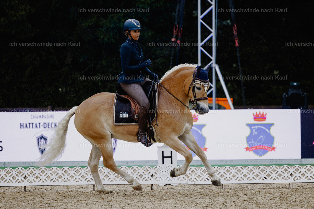 Tanesha5FHC2025-24850 | working equitationturnier fotograf videograf stoibphotography marixx film working equitation deutschland reitsport turnierfotografie eventfotografie equestrian events