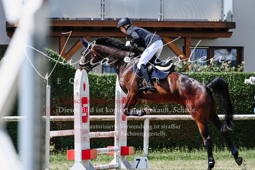 DSC_8772 | Pferde- und Turnierfotografie in Westsachsen. Pferdeportraits, Auftragszeichnungen und intuitive Kunst.