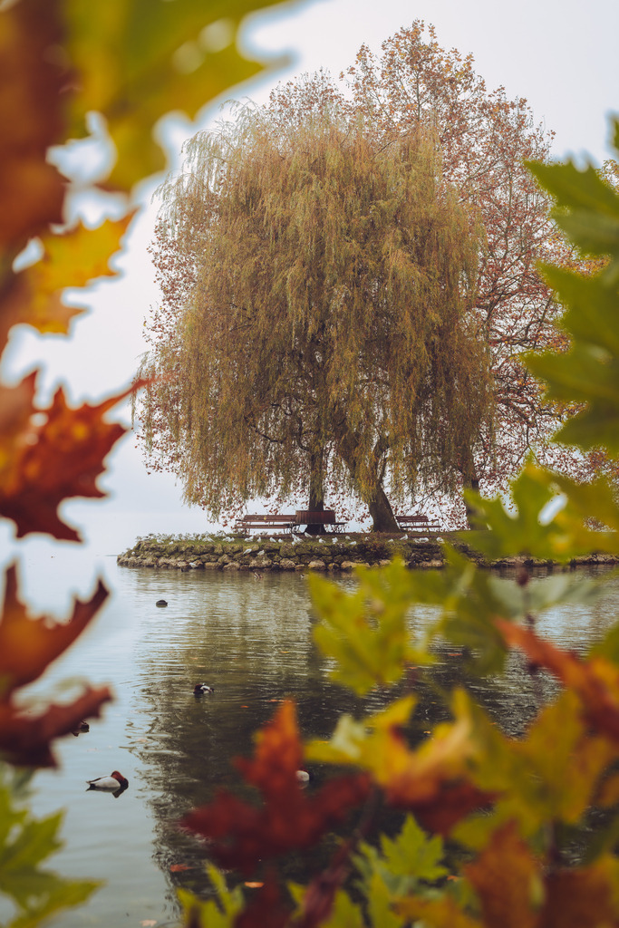 Vilette Park | Cham - Realisiert mit Pictrs.com
