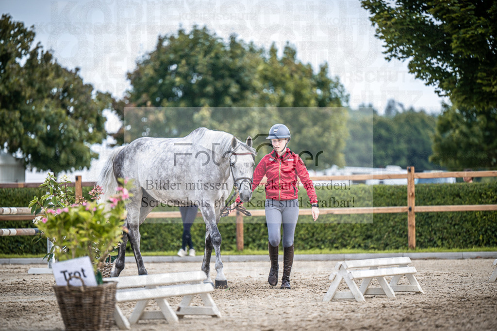 DOS_2202 | Entdecke hochwertige Reitturnierfotos von Foto Oger. Professionell, emotional und authentisch – jetzt Lieblingsmomente im Shop bestellen.Deutschlandweite Turnierfotografie. - Realisiert mit Pictrs.com