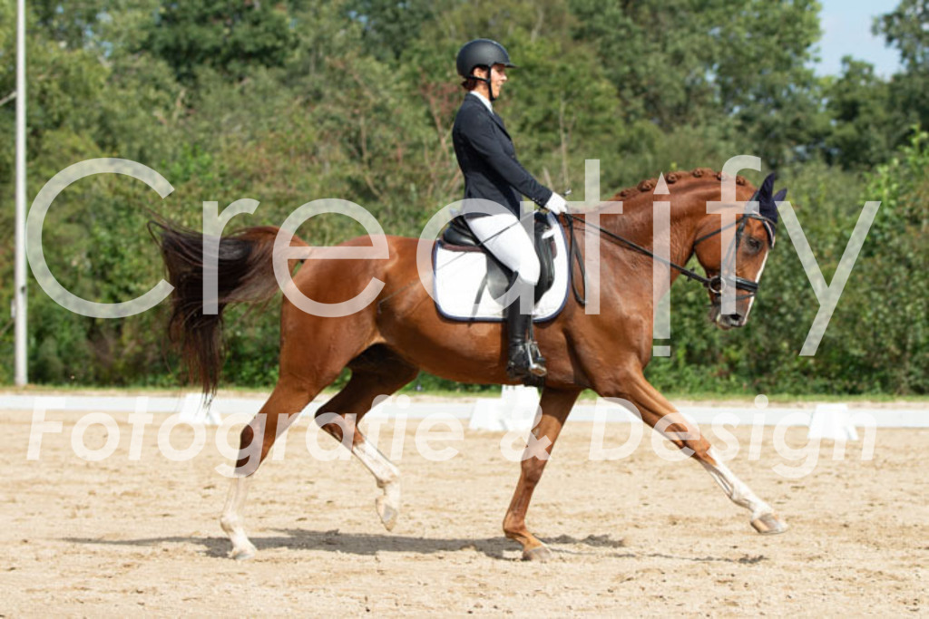 IMG_3263 | Creatify Fotografie