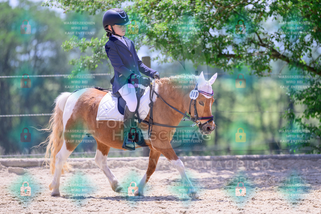 31052026-Forstinning-Prfg05-0053 | Fokus Hufschlag Fotografie - Realisiert mit Pictrs.com