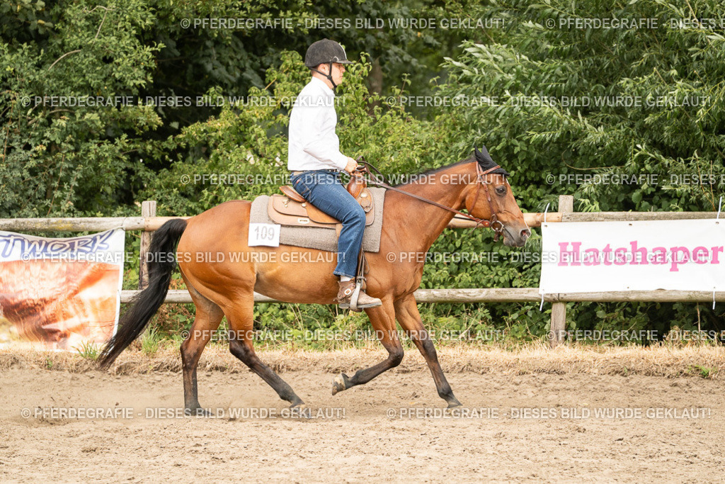 DSC00832 | Pferdegrafie