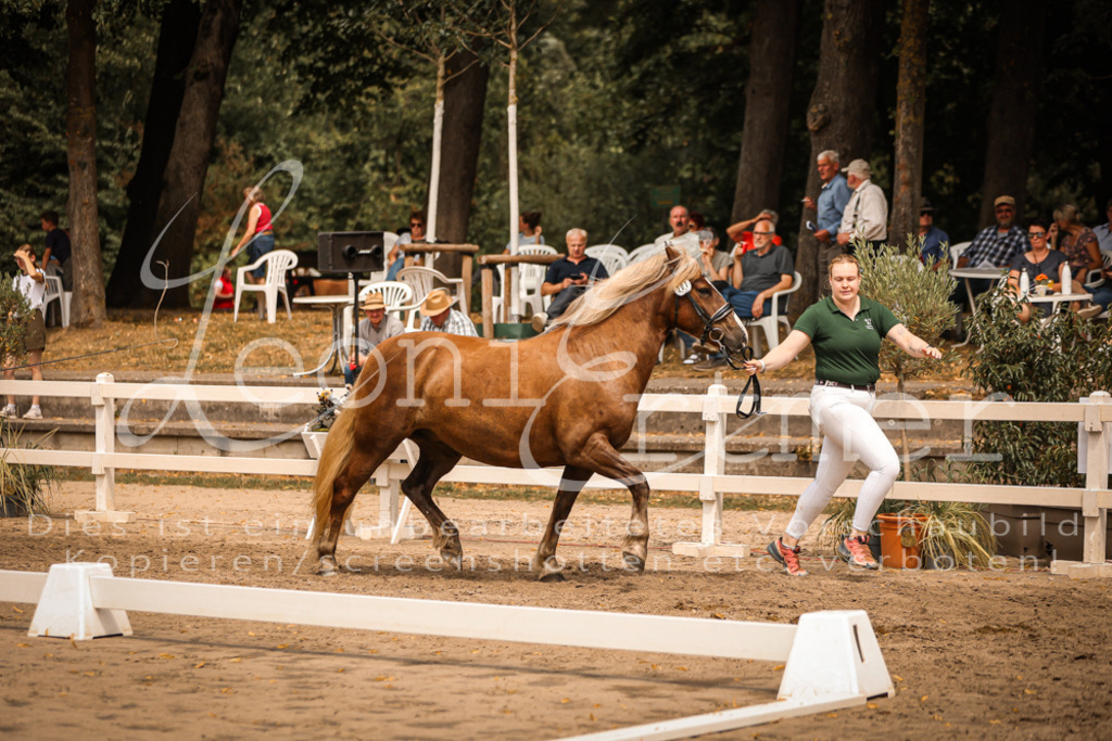 5.Sa00001 | Leoni Ertmer Photography - Realisiert mit Pictrs.com