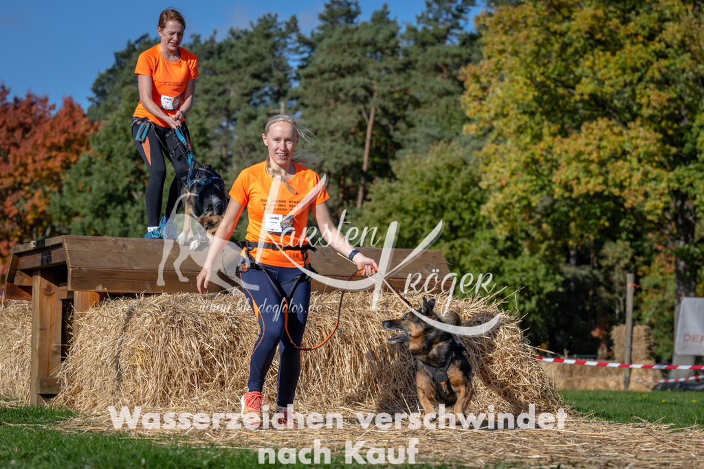 1106_ZZ92649 | kk-dogfotos