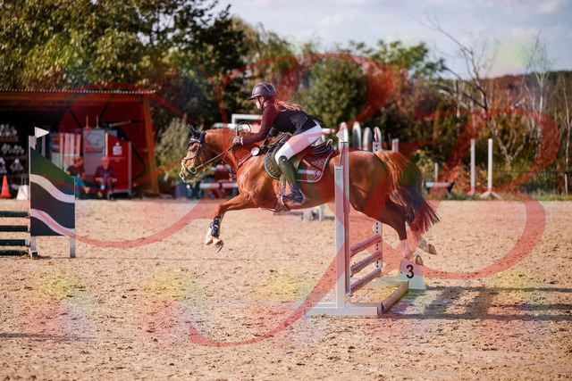 2026_10_03_Siefer-Hof_155757_Z81_77691835 | Professionelle Reitsport-, Turnier- und Eventfotografie von Robert Broda. Galerien mit ausgewählten und bearbeiteten Bildern direkt online ansehen und bestellen.