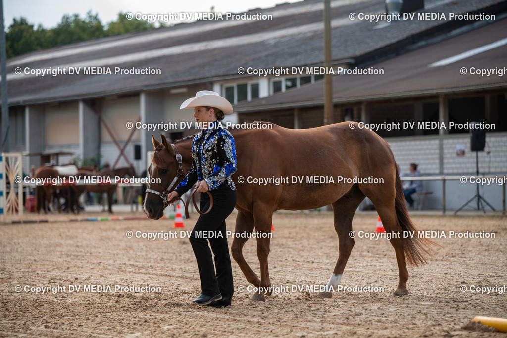 EWP_5572 | dv-media-shop - Realisiert mit Pictrs.com