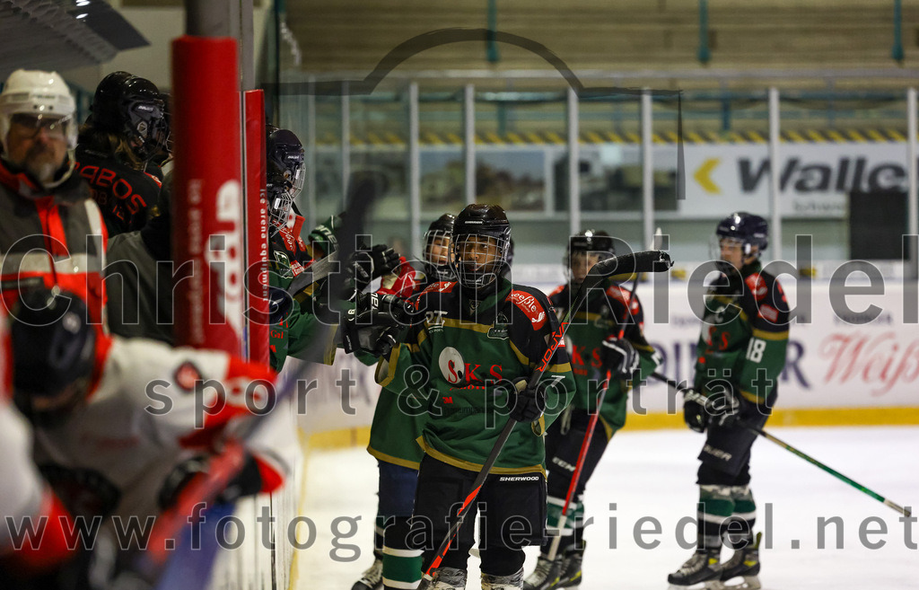 2022-12-04_107_TSV_Erding_gegen_EHC_Klostersee | Erding, Deutschland, 04.12.2022:
Eishockey, Bayernliga U17 2022 / 2023, 11. Spieltag, TSV Erding gegen EHC Klostersee, Endergebnis: 3:5

Emilio Brattia (Erding Gladiators, #7)

Foto: Christian Riedel / fotografie-riedel.net