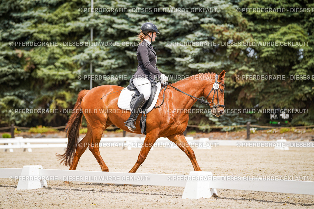 DSC03617 | Pferdegrafie