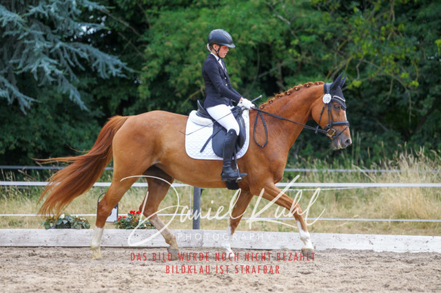 DKP45912 | Turniersportfotografie; Pferdefotografie; Dressurfotografie