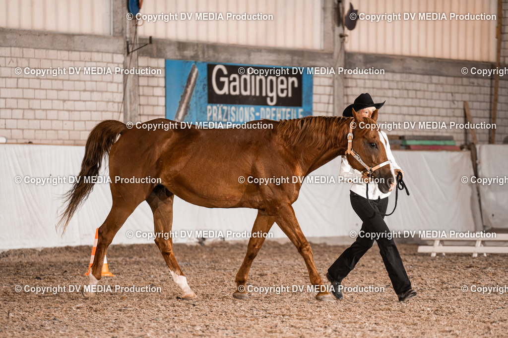 ZH200120 | dv-media-shop - Realisiert mit Pictrs.com