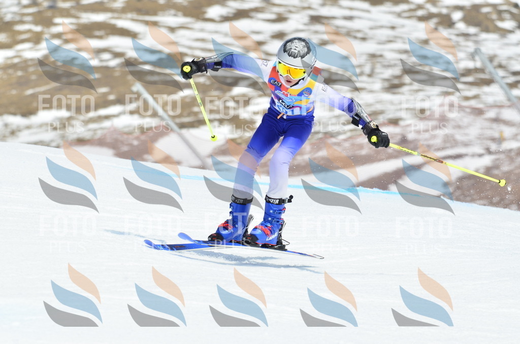 _ELE2076 | holidayphoto