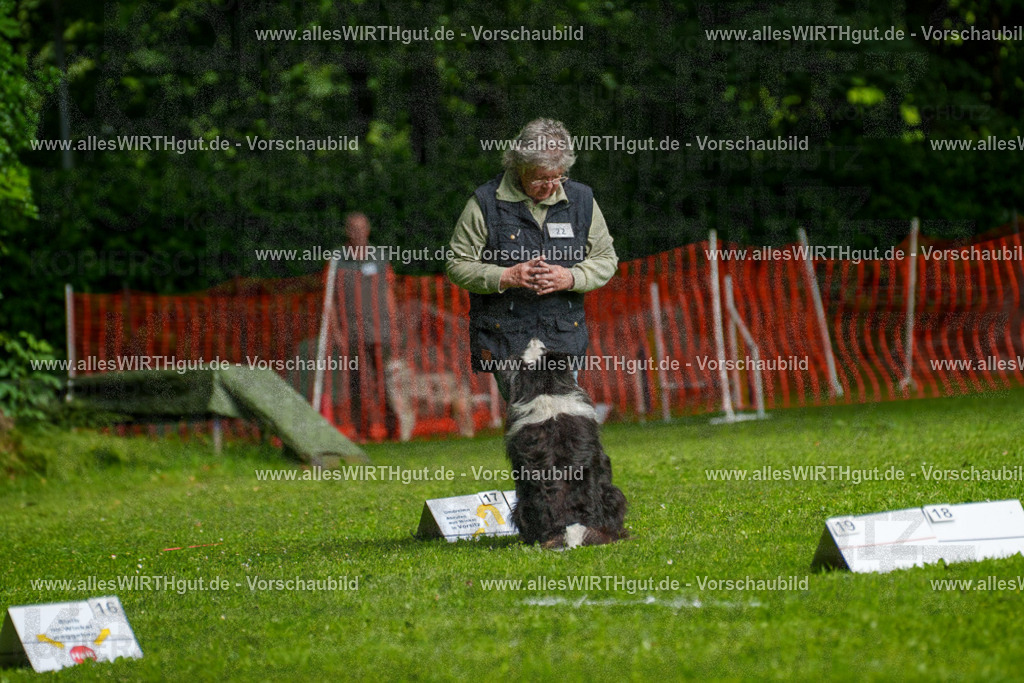 @allesWIRTHgut_Tierfotografie - www.allesWIRTHgut.de - 7R502752 | Professionelle Tierfotografie in Mönchengladbach von Daniel Wirth (allesWIRTHgut). Liebevolle & natürliche Bilder von Hunden & Katzen für unvergessliche Erinnerungen.