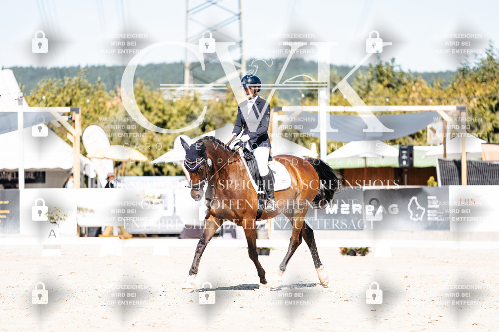 CK909260 | Turnierfotografie Pferdefotografie Trier Rheinland-Pfalz Pferdesport Reitsport Tierfotografie Sportfotografie Pferdevideo Pferdevideografie Equestrianvideography equestrianphotography  - Realisiert mit Pictrs.com