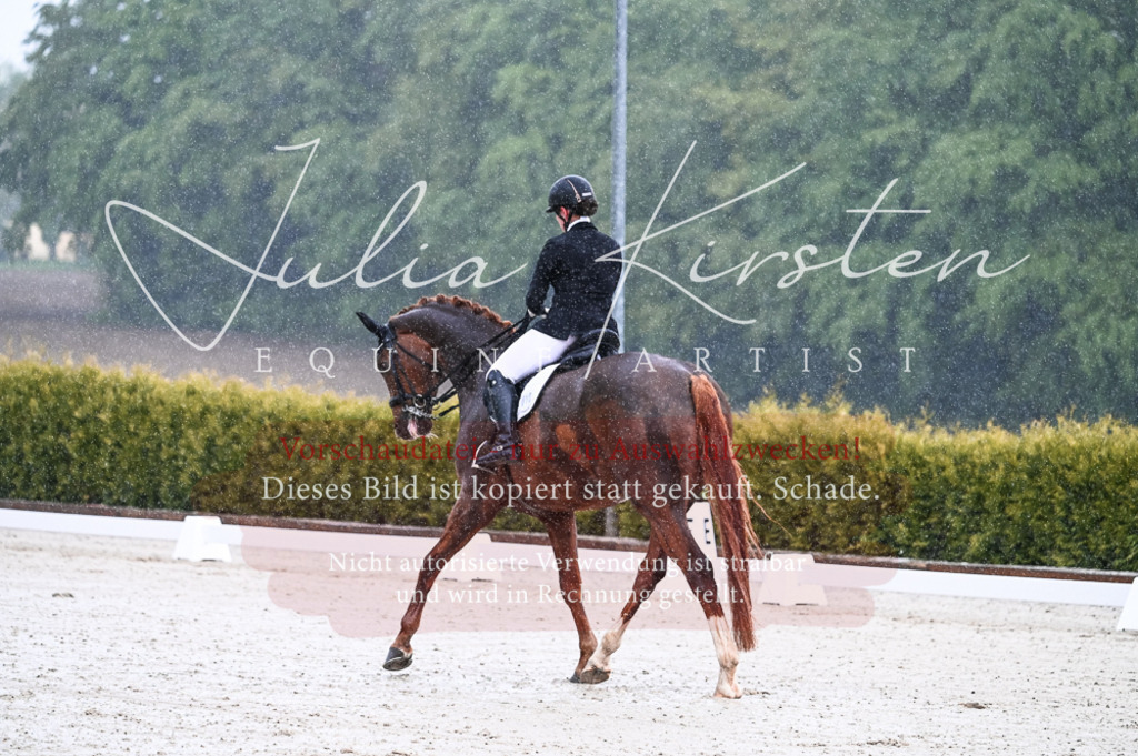 DSC_4098 | Pferde- und Turnierfotografie in Westsachsen. Pferdeportraits, Auftragszeichnungen und intuitive Kunst.
