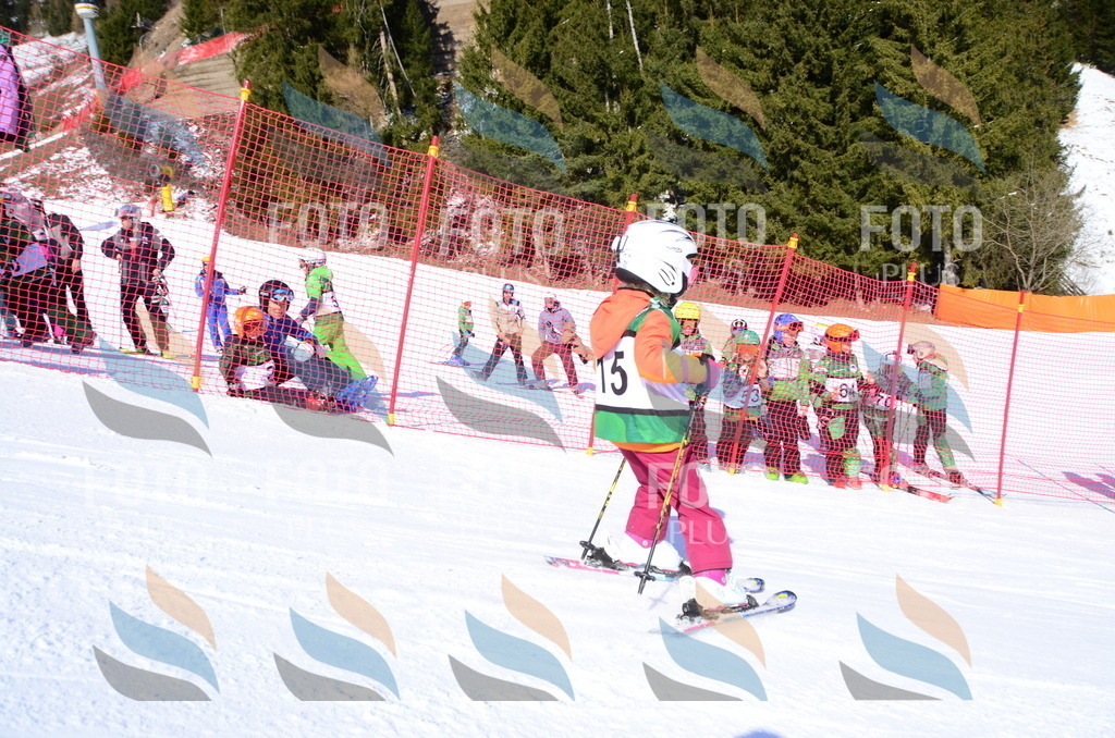 C4672 | holidayphoto